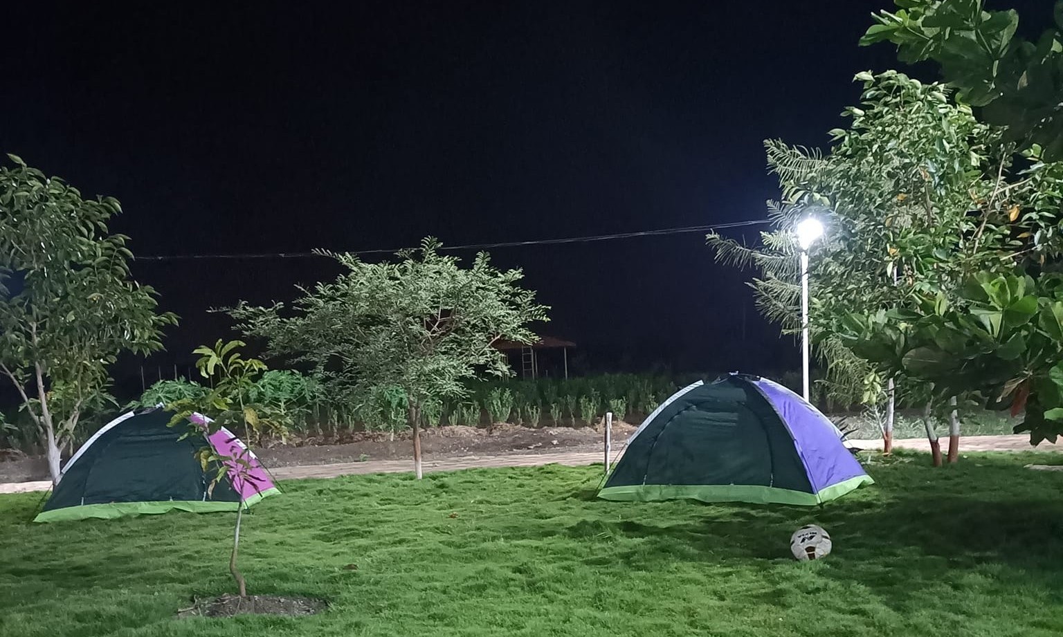 Tent Camping